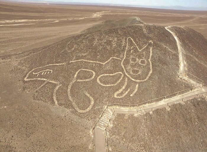 A 2000-Year-Old Giant Cat Geoglyph Was Discovered 4 Months Ago Amid Peru's Famous Nazca Lines, A Unesco World Heritage Site [1600x1176]