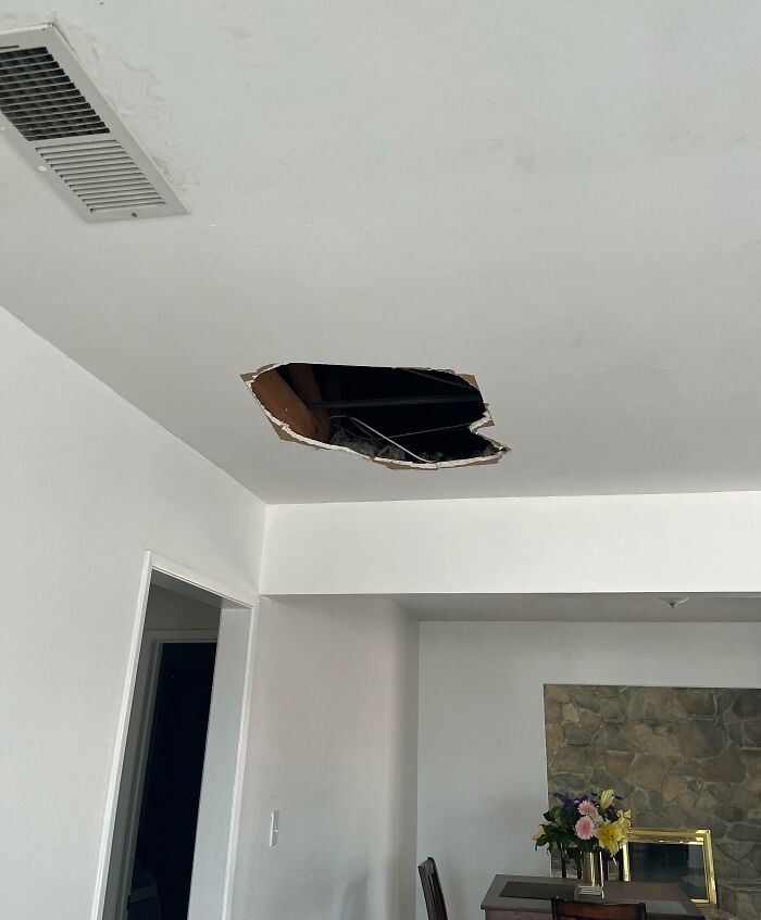 Contractor Fell Through My Sister’s Ceiling