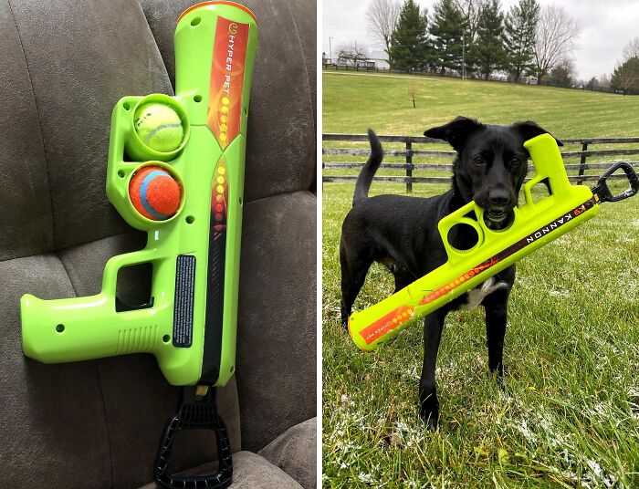 The Kannon Dog Ball Thrower Launcher Is The Fetch-Tastic Upgrade Your Dog's Playtime (And Your Throwing Arm) Have Been Waiting For!