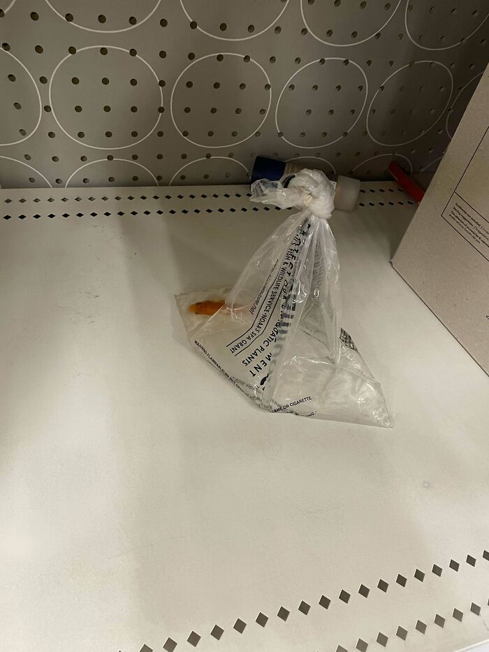 Somebody Left A Live Fish In My Store Today