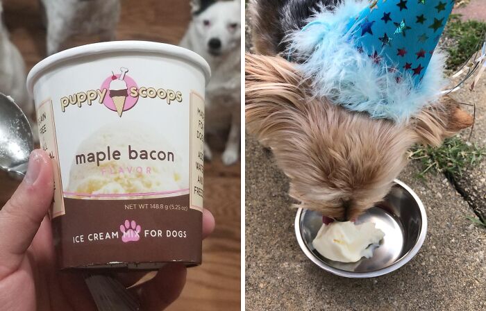  Ice Cream Mix For Dogs Is The Tail-Wagging Treat Your Furry Friend Deserves On A Hot Summer Day