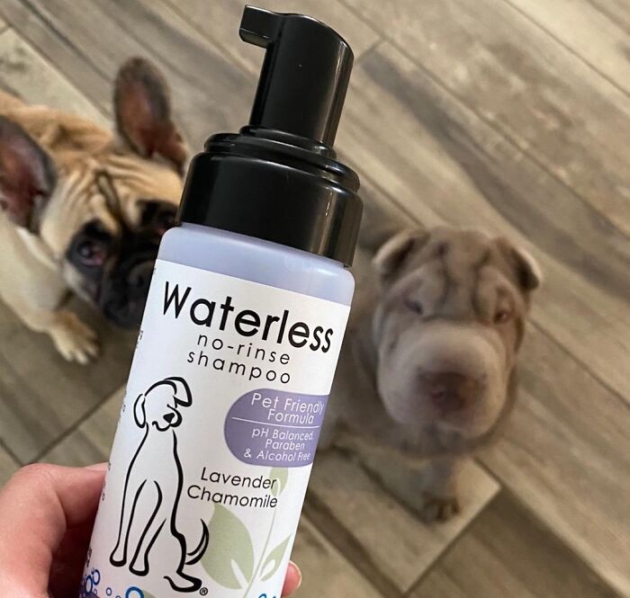 Your Pet Will Love The Gentle, Plant-Based Formula Of This No Rinse Shampoo, Leaving Their Coat Soft, Shiny, And Smelling Great