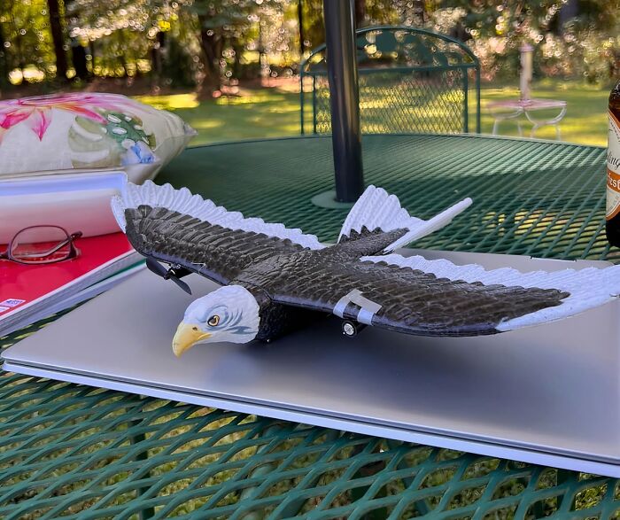 This Rc Eagle Plane Will Let You Soar Like An Eagle, Even If You've Never Flown A Remote Control Plane Before (Side Note: It Does Not Play The "Star Spangled Banner" When Launched)