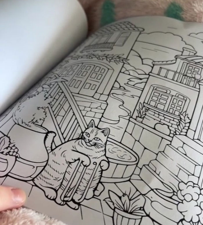 Woman Thinks She Bought A “Normal” Kitty Coloring Book, Starts Noticing Odd Things About It