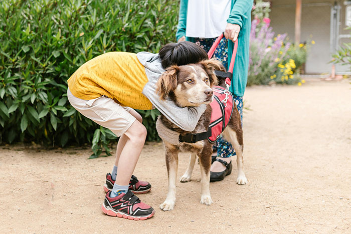 Netizens Have Their Hearts Melt As This Mom Wholesomely Stops Her Girl From Petting Service Dog