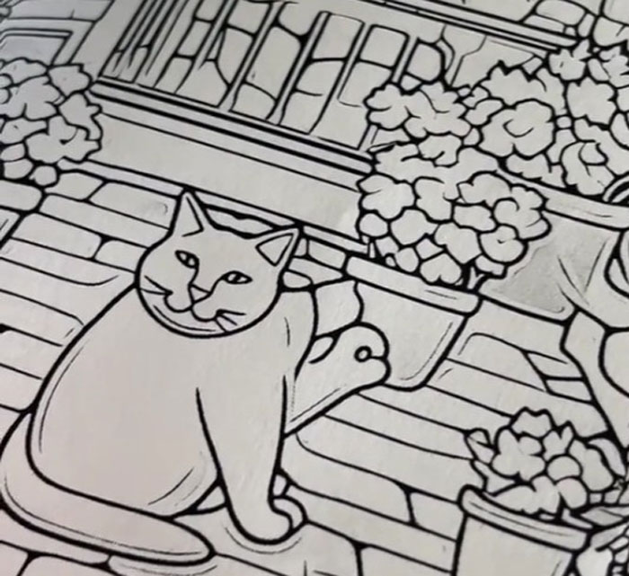 Woman Thinks She Bought A “Normal” Kitty Coloring Book, Starts Noticing Odd Things About It