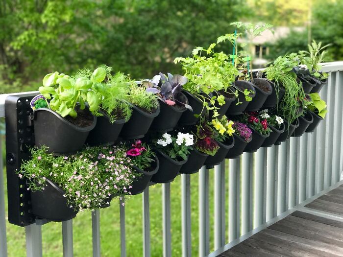 This Expandable Green Wall Vertical Garden Will Turn Your Barren Balcony Into A Lush, Instagram-Worthy Oasis