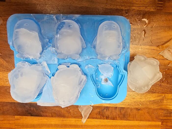 Chill Out With These Adorable Penguin Ice Cubes - They're The Perfect Way To Keep Your Drinks Cool And Your Guests Entertained