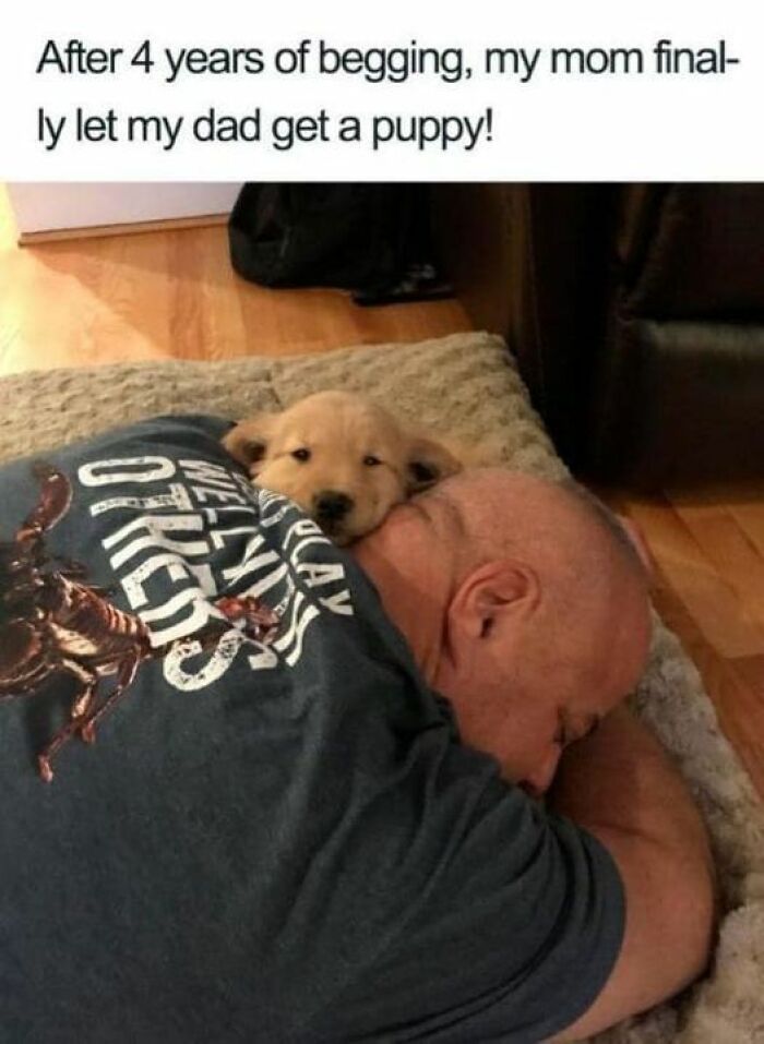 Man lying on the floor with a puppy resting on his head, capturing a funny animal meme moment.