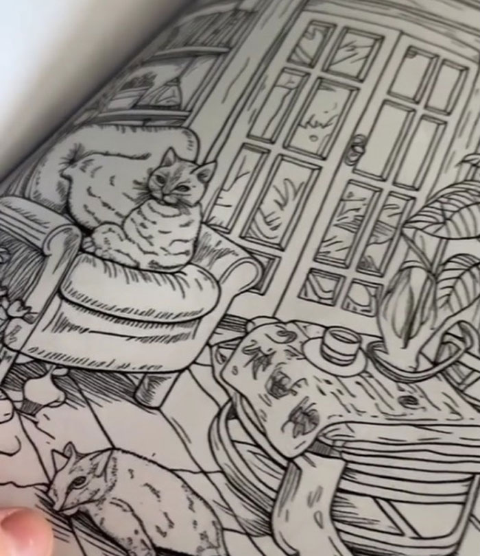 Woman Thinks She Bought A “Normal” Kitty Coloring Book, Starts Noticing Odd Things About It