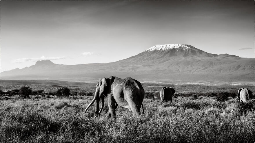 Craig & Friends, Mount Kilimanjaro
