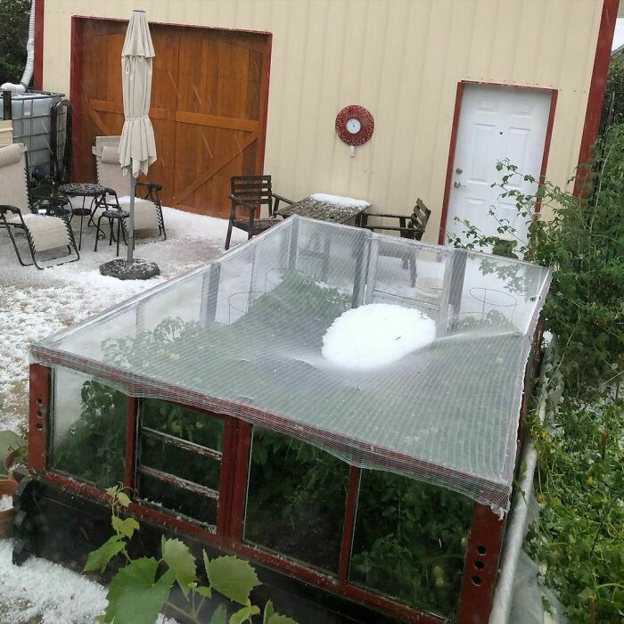 Another Hailstorm Hit Us Yesterday. I Was Grateful For The Hail Protection Netting