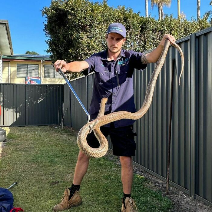 Working As A Snake Catcher