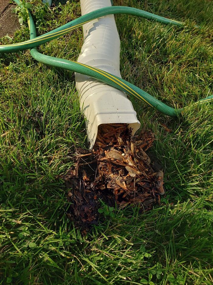 Clean Your Gutters Regularly