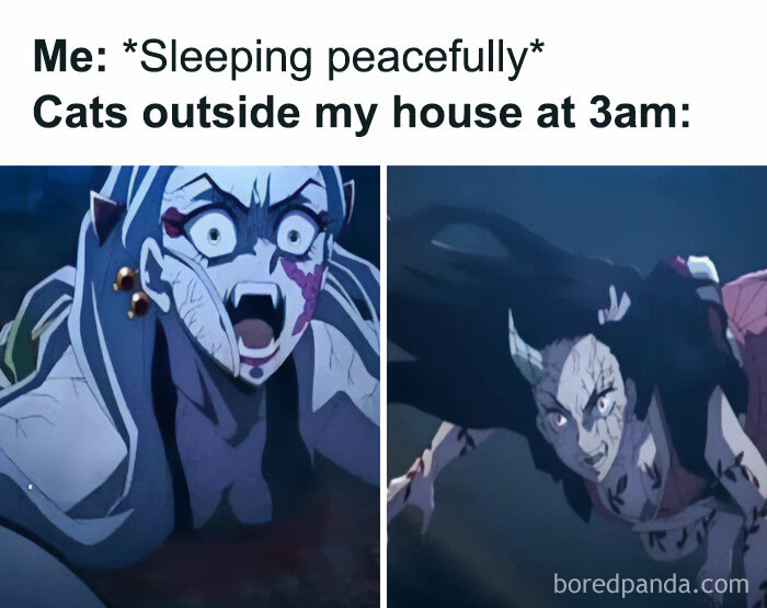 A Demon Slayer meme featuring two panels: The top text reads, "Me: Sleeping peacefully" The text below reads, "Cats outside my house at 3am:" The first image shows Daki with a shocked and angry expression. The second image shows Nezuko in her demon form, also looking fierce and aggressive. This meme humorously depicts the disruptive and loud nature of cats fighting or making noise outside at night, likening their intensity to the fierce expressions of the demon characters from Demon Slayer.