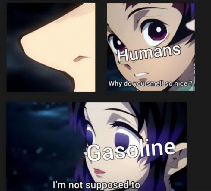 A Demon Slayer meme featuring three images. The first image shows a close-up of a nose. The second image shows Tanjiro Kamado with the caption, "Humans: Why do you smell so nice?" The third image shows Shinobu Kocho with the caption, "Gasoline: I'm not supposed to." This meme humorously plays on the idea of Tanjiro's heightened sense of smell and the unexpected pleasure some people find in the smell of gasoline.