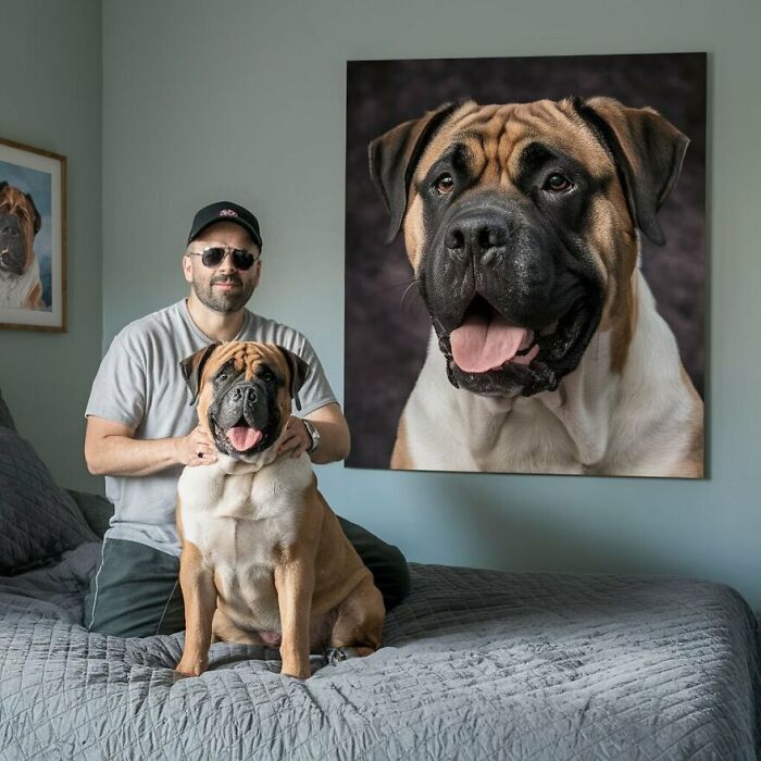 English Mastiff