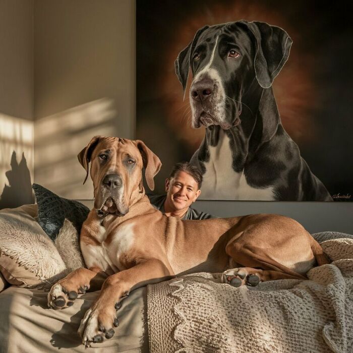 Great Dane