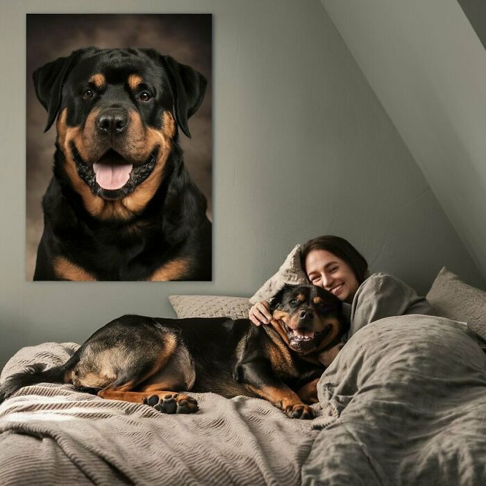 Rottweiler