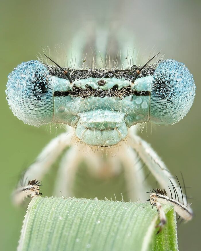 Exploring The World Up Close: Inside The Instagram Phenomenon Of "Macro Photography"