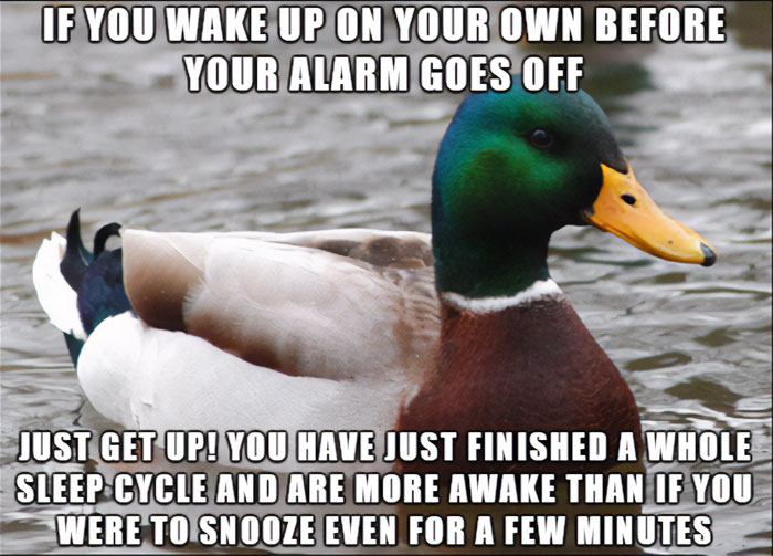 Funny "good morning" meme with a duck and humorous text about waking before the alarm.