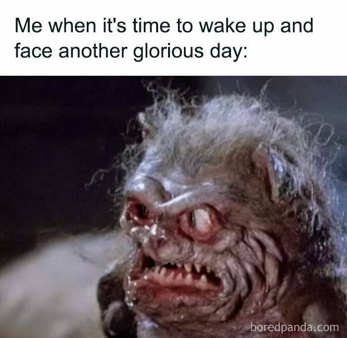 Funny good morning meme featuring a disheveled creature with the caption about waking up to face the day.