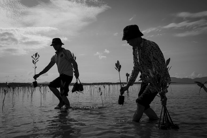 "The Last Mangrove" By Roun Ry, Cambodia