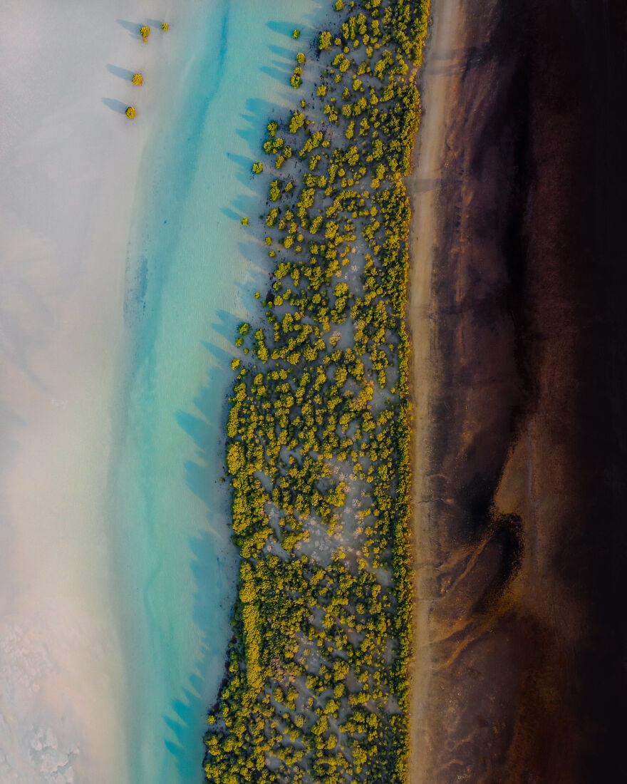 "Spectacular Mangrove Symphony" By Ammar Alsayed Ahmed, United Arab Emirates