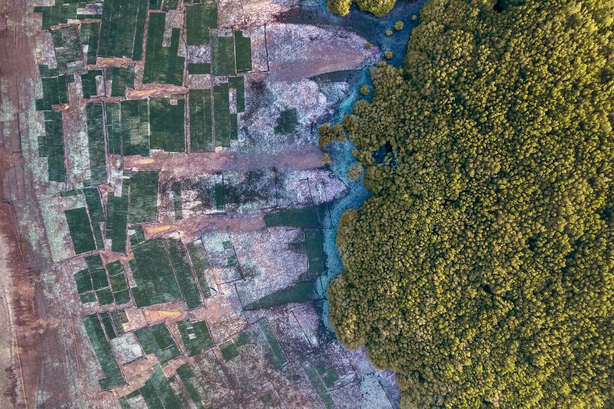 "Mangrove Coast" By Balazs Fodor, Indonesia