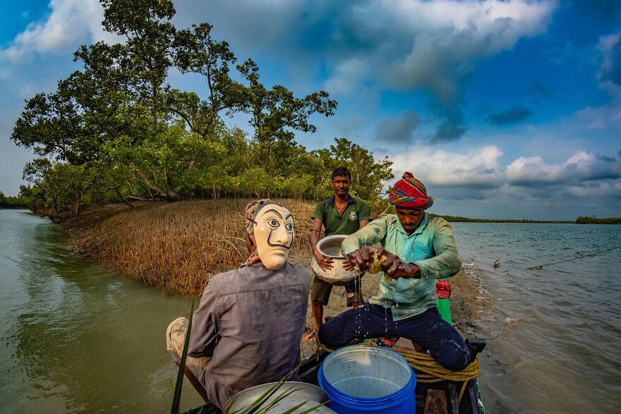 "Honey Heist" By Upamanyu Chakraborty, India