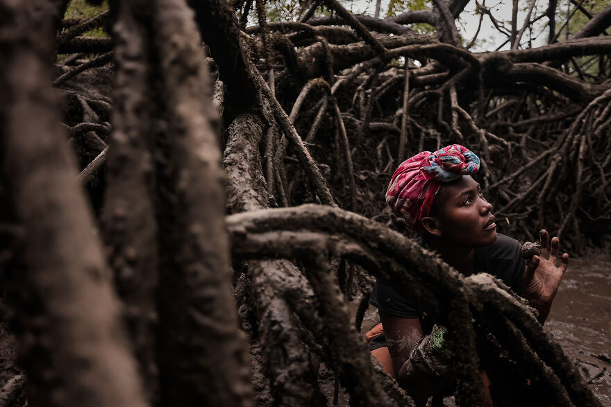 "Piangua, Vital" By Daniel Alvarez, Colombia