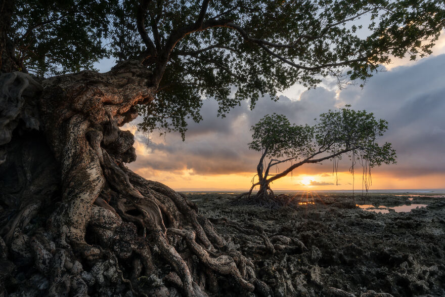 "Framing The Sunset" By Vladimir Borzykin, India