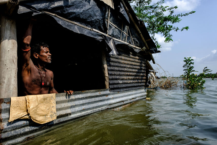 "Mangrove Walls Broken" By Dipayan Bose, India