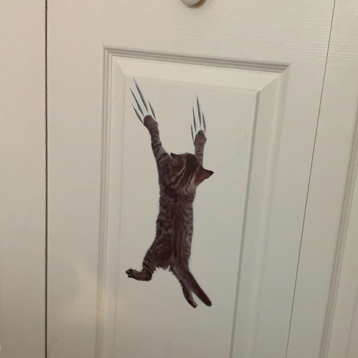  3D Cat Stickers Are The Unexpected Addition To Your Home That Will Make You Lol