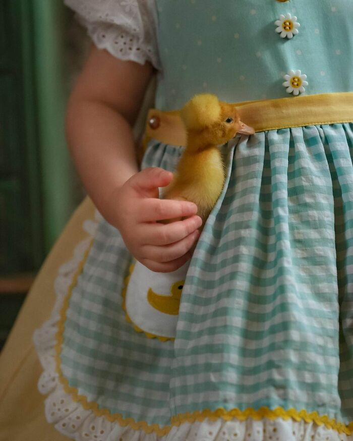 Woman Captures The Unconditional Love Between Her 3-Year-Old Daughter And Baby Ducklings