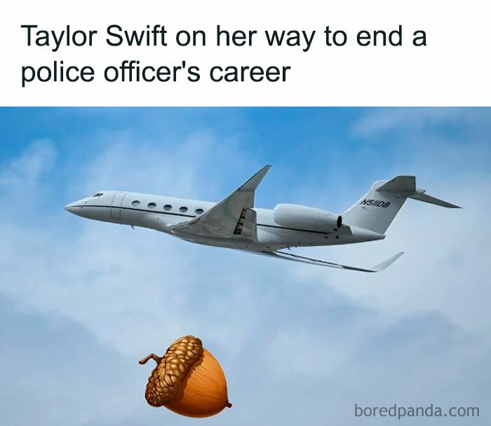 A Taylor Swift meme featuring a private jet flying in a clear blue sky. Below the jet, there is a superimposed image of an acorn. The text above the image reads, "Taylor Swift on her way to end a police officer's career," humorously suggesting that Taylor Swift's influence or actions have significant impacts.