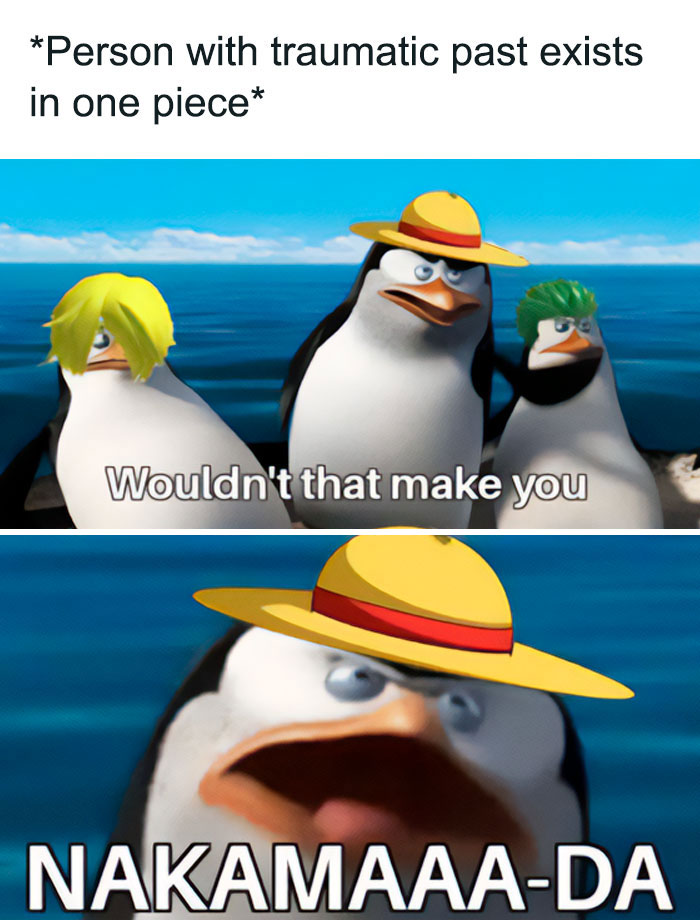 A one piece meme featuring characters from "Madagascar" with edited One Piece elements. The top image shows three penguins with the text, "Person with traumatic past exists in one piece." The penguins are wearing Sanji's, Luffy's, and Zoro's hairstyles respectively, and the one with Luffy's hat says, "Wouldn't that make you." The bottom image zooms in on the penguin with Luffy's hat, exclaiming, "NAKAMAAA-DA."