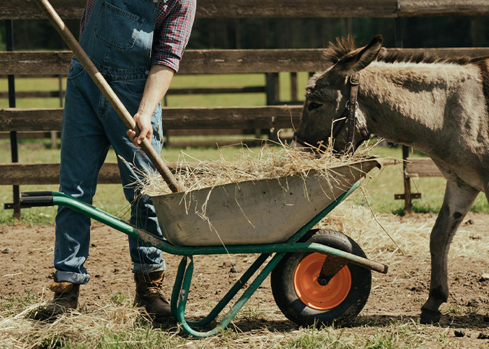 Company Dares Farmer To Take Them To Court Over The Damages They Caused, Regrets It Deeply