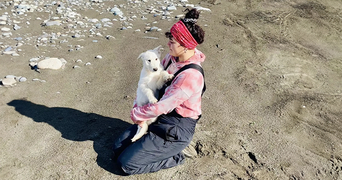 A Woman Lays Her Dear Old Dog To Rest When Suddenly Abandoned Puppy Appears Out Of Nowhere