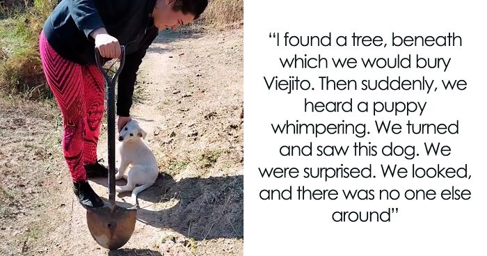 A Woman Lays Her Dear Old Dog To Rest When Suddenly Abandoned Puppy Appears Out Of Nowhere