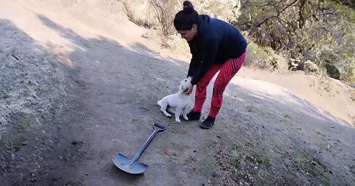 Abandoned Puppy Appears Out Of Nowhere At The Very Moment Woman Has To Say Goodbye For Her Old One