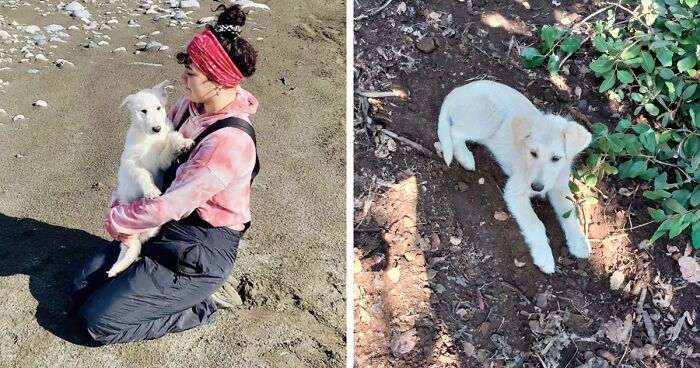 A Puppy Appears Out Of Nowhere When Animal Rescuer Cespedes Comes To Bury Her Old Dog