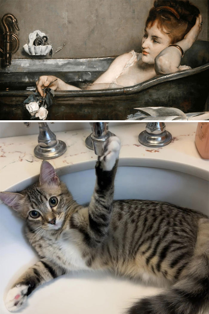 Accidental-Renaissance-Cats