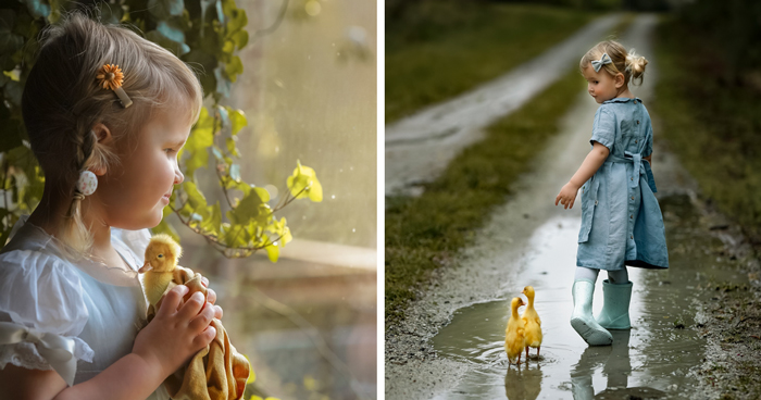 Woman Captures The Unconditional Love Between Her 3-Year-Old Daughter And Baby Ducklings
