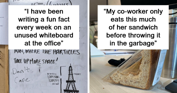 85 Times People Let Out Their Weird And Unhinged Side And Coworkers Were Not Amused (New Pics)