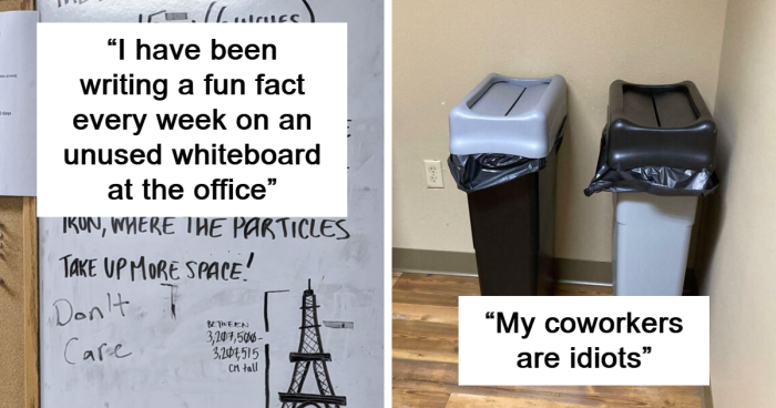 85 Pics Showing That Some People Have No Idea How To Behave At Work (New Pics)