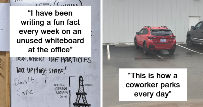 85 Coworkers That People Wish Would Quit And Take Their Annoying Presence With Them (New Pics)