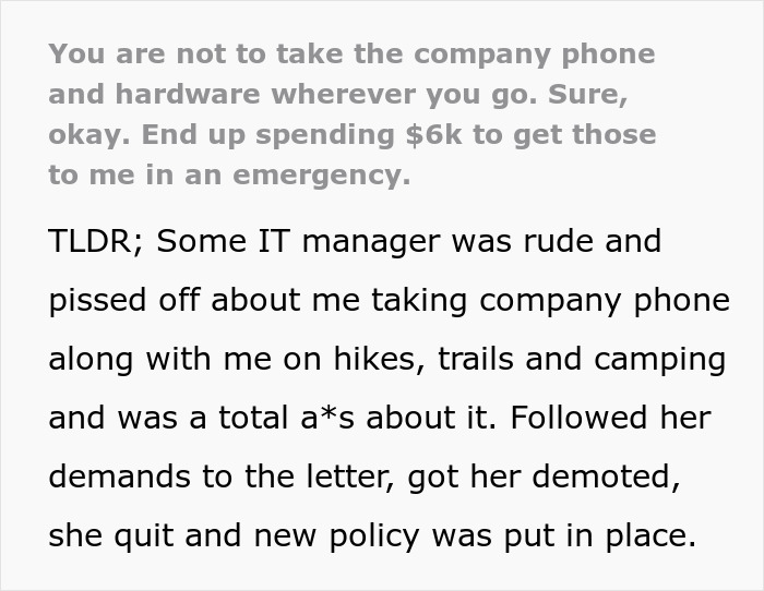 Employee Goes On Vacation And Doesn’t Take The Company Phone As Told, It Costs The Company $6K