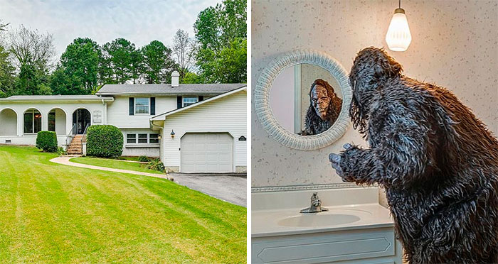 “Zillow Gone Wild”: 65 Of The Most Unhinged Listings Of All Time