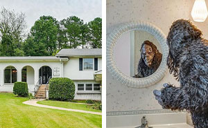 “Zillow Gone Wild”: 30 Of The Most Unhinged Listings Of All Time